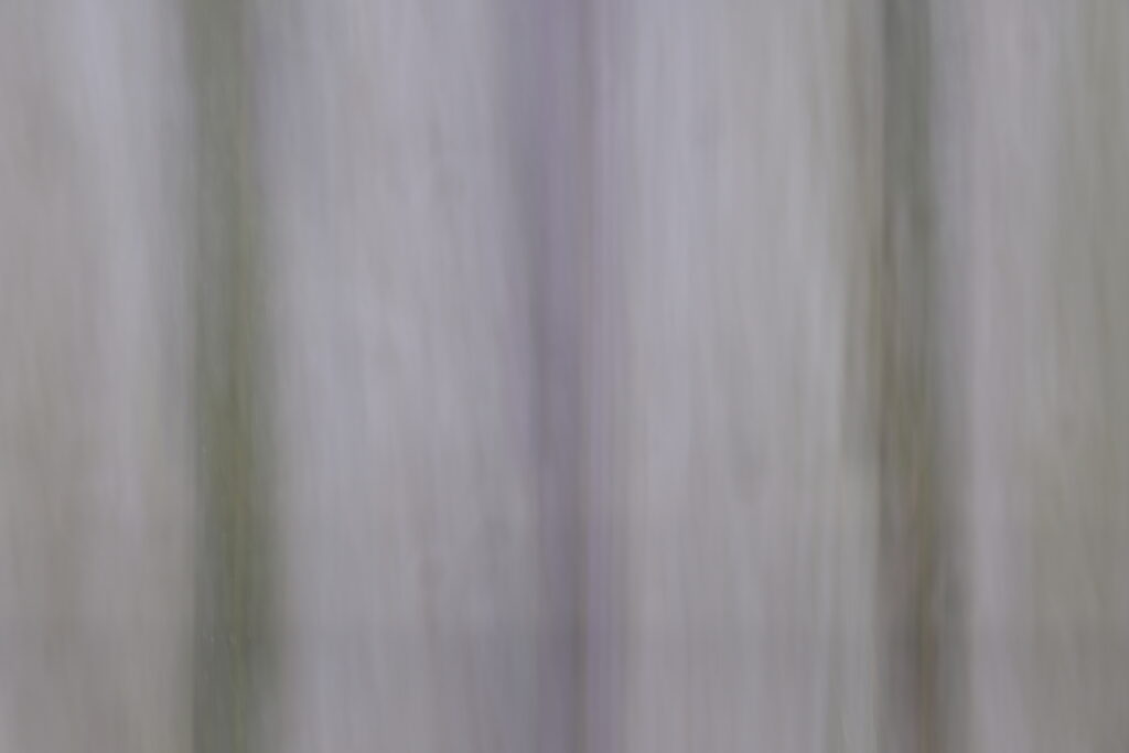 ICM, back lane